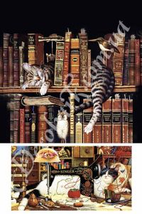 Декупажная карта 063, на ключницу, кот, книги, швейная тематика ― Творча майстерня ДекоПарк