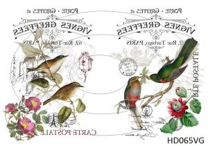 Декупажная карта А4 Hobby-decor, 55 г/м, HD065VG, Винтажная фоновая карта, почтовые открытки, птицы на ветке (зеркальная) ― Творча майстерня ДекоПарк